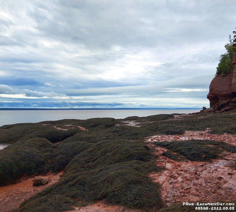 66596CrLe - Exploring the low tide beach at Hopewll Rocks National Park, NB